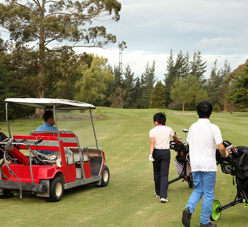 Pathway to PGA Membership and University Degrees through IGQ Diploma Program (Golf Focus)